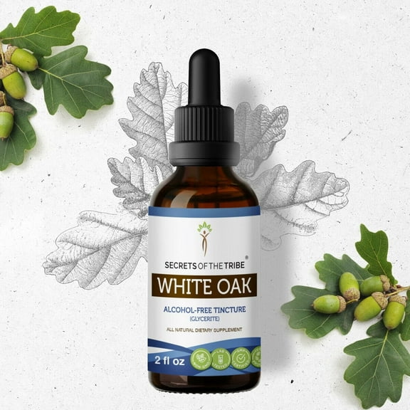 Secrets Of The Tribe White Oak Tincture Dietary Supplement, Natural Herbal Extract for Digestive Support, White Oak (Quercus alba) Dried Bark, Alcohol-Free Extract, Drops 2 oz