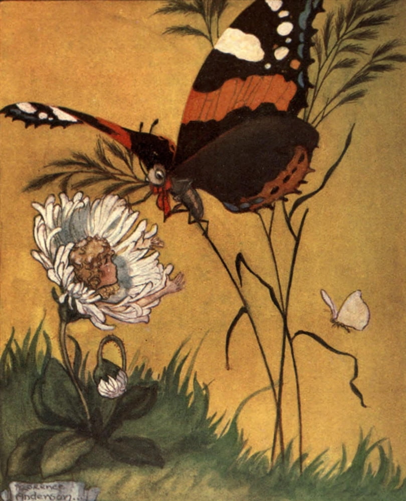 Secrets of the Flowers 1900 A drop of water for a butterfly Canvas Art - Florence M Anderson (24 x 36)