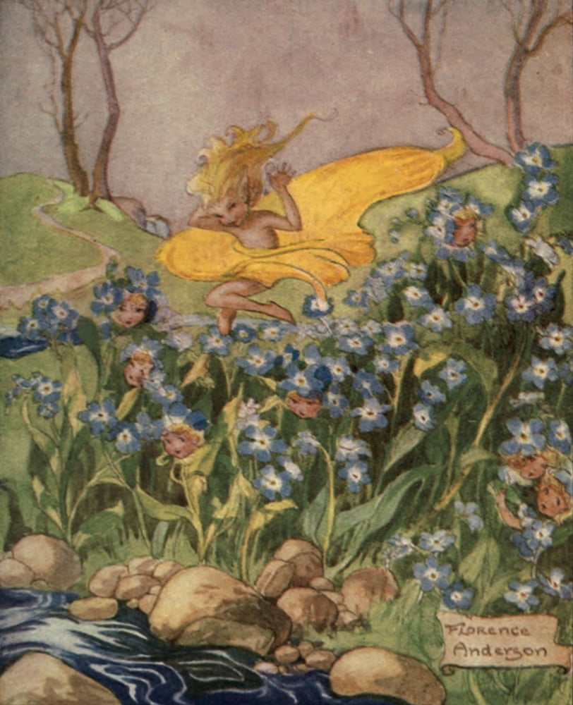 Secrets of the Flowers 1900 A sunbeam in the forget-me-nots Canvas Art - Florence M Anderson (18 x 24)