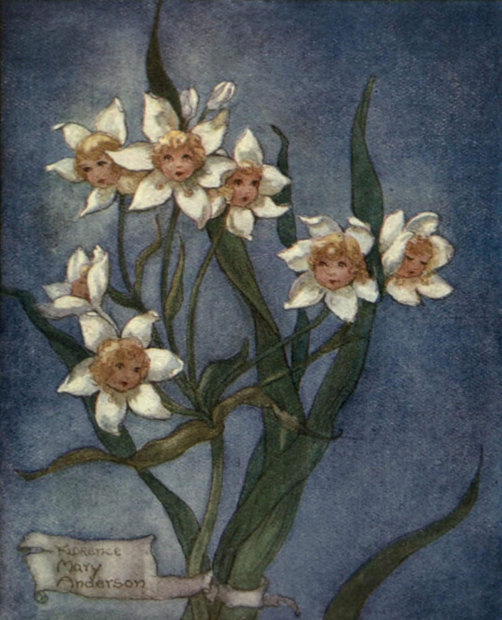 Secrets of the Flowers 1900 They opened their eyes wide Canvas Art - Florence M Anderson (18 x 24)