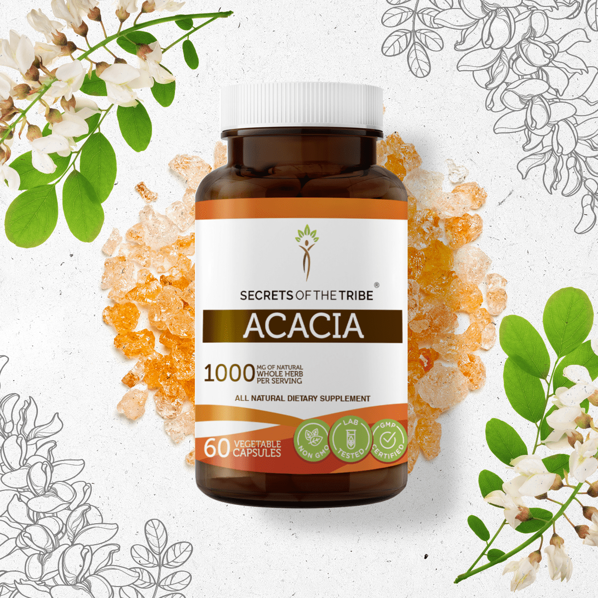Secrets of the Tribe Acacia 60 Capsules, 500 mg, Organic Acacia ...