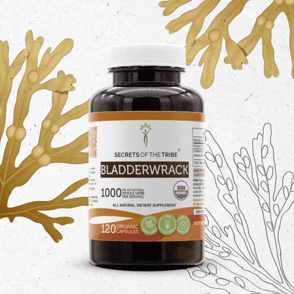 Secrets Of The Tribe Bladderwrack Organic Capsules Dietary Supplement, Natural Herbal Capsules for Thyroid Function Support, Certified Organic Bladderwrack (Fucus Vesiculosus) Dried Root 120 Capsules