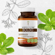 Secrets of the Tribe Boldo 60 Capsules, 500 mg, Organic Boldo (Peumus boldus) Dried Leaf