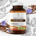 thumbnail image 1 of Secrets of the Tribe Chicory 300 Capsules, 500 mg, Organic Chicory (Cichorium Intybus) Dried Root, 1 of 5