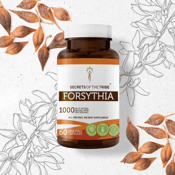 Secrets Of The Tribe Forsythia Capsules Dietary Supplement, Natural Herbal Capsules for Immune Support, Forsythia (Lian Qiao, Forsythia Suspensa) Dried Fruit, 60 Capsules