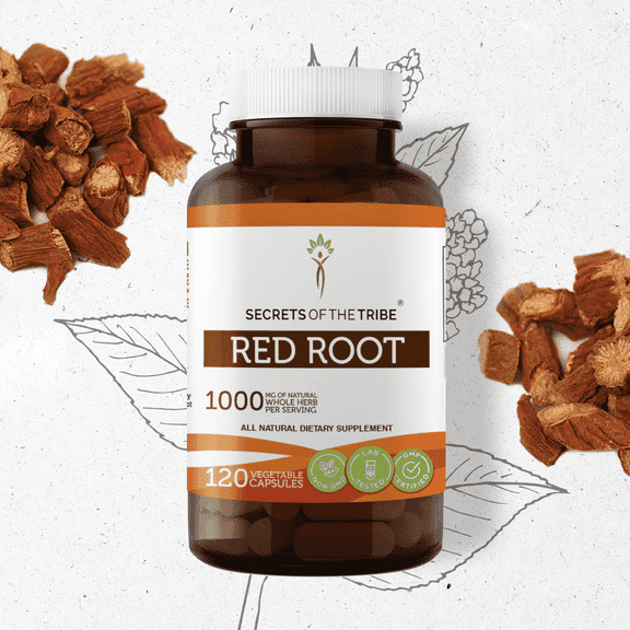Secrets Of The Tribe Red Root Capsules Dietary Supplement, Natural Herbal Capsules for Lymphatic System Support, Red Root (Ceanothus Americanus) Dried Root, 120 Capsules