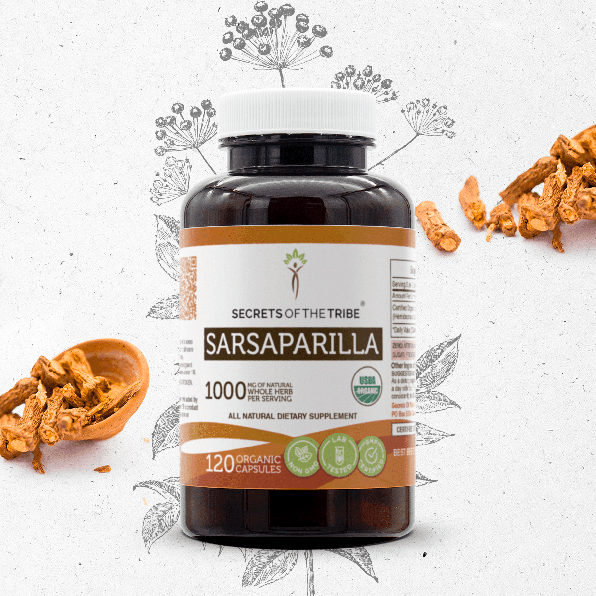 Smilax Aspera - Organic Sarsaparilla Medicinal Tea Stock Image
