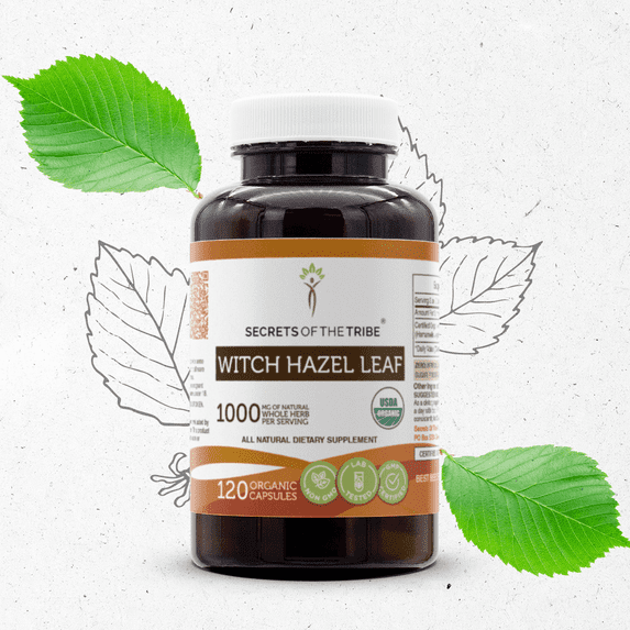 Secrets Of The Tribe Witch Hazel Leaf Organic Capsules Dietary Supplement, Natural Herbal Capsules for Skin Support, Certified Organic Witch Hazel Leaf (Hamamelis virginiana) Dried Leaf, 120 Capsules