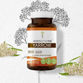 thumbnail image 1 of Secrets of the Tribe Yarrow 60 Capsules, 400 mg, Organic Yarrow (Achillea millefolium) Dried Leaf and Flower, 1 of 5
