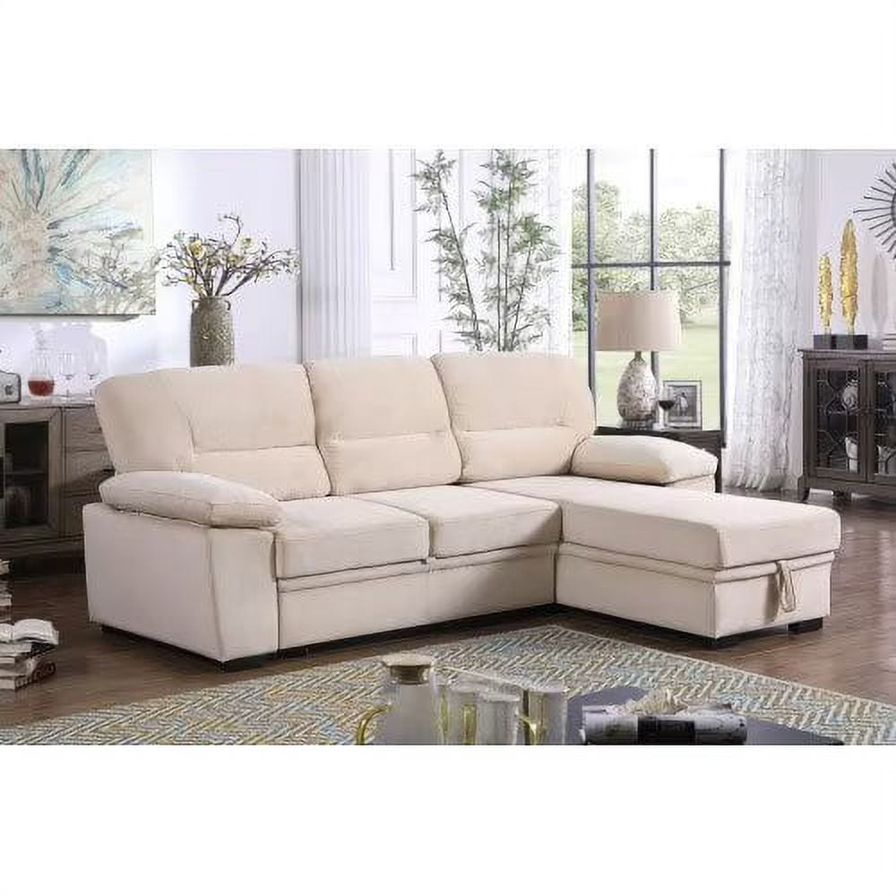 Sectional Sofa Sleeper with Storage Chaise, Velvet PullOut Couch with