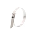 thumbnail image 1 of Secure Cable Ties 8 Inch Standard 316 Stainless Steel Cable Tie - 100 Pack, 1 of 7
