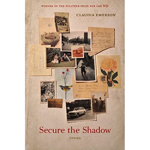 Pre-Owned Secure the Shadow (Paperback) 0807143030 9780807143032