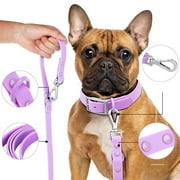 SecureCombo Dog Set Harness, Leash, and Collar Stylish and Secure Walking Experience Available in Yellow, Purple, Blue, and Black