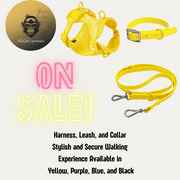 SecureCombo Dog Set Yellow Medium Harness, Leash, and Collar Stylish and Secure Walking Experience Available in Yellow, Purple, Blue, and Black