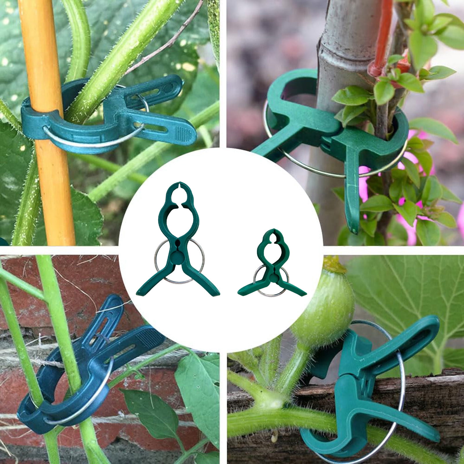 100 Clips Blancs Pour Soutenir Vos Tomates Et Plantes | Fixation Douce Pour Jardin