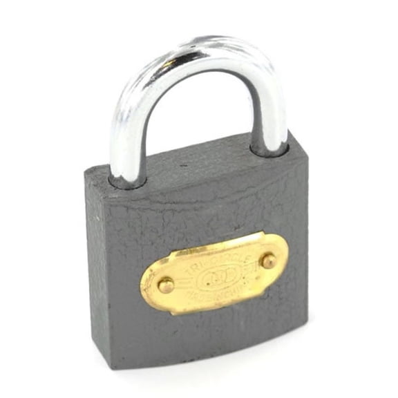 Securit Tricircle Iron Padlock Brass Cylinder