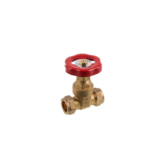 Securplumb CXC Brass Gate Valve