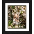 thumbnail image 1 of Sedaghi, Hooman 15x18 Black Ornate Wood Framed with Double Matting Museum Art Print Titled - Death, 1 of 4