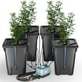 thumbnail image 1 of Sedeke 4 Buckets DWC Hydroponics Growing System with Top Drip Kit 7 Gallon Deep Water Culture Bucket System with Air Pump, Air Stone, Air Hose, Recirculating Drip Garden System, 1 of 10