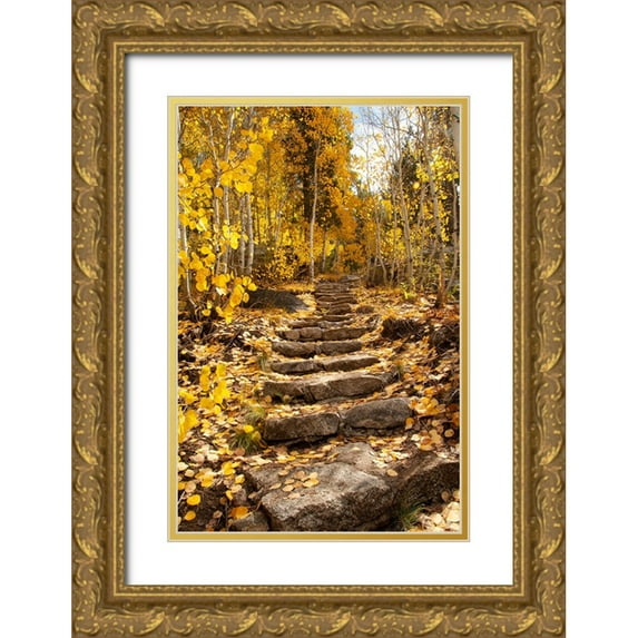 Sederquist, Betty 11x14 Gold Ornate Wood Framed with Double Matting Museum Art Print Titled - These stone stairs behind Sorensens Resort (now Wylder Hotel)