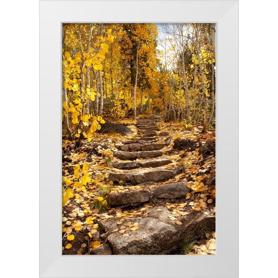 Sederquist, Betty 13x18 White Modern Wood Framed Museum Art Print Titled - These stone stairs behind Sorensens Resort (now Wylder Hotel)