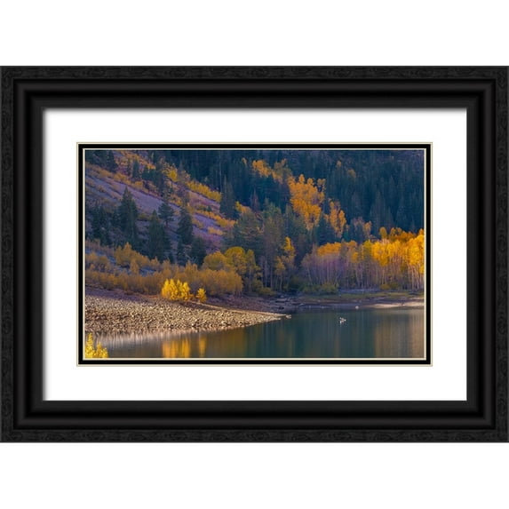 Sederquist, Betty 14x10 Black Ornate Wood Framed with Double Matting Museum Art Print Titled - Usa-California-Sierra Nevada Lundy Lake-Glowing aspens dwarf this kayaker on Lundy Lake