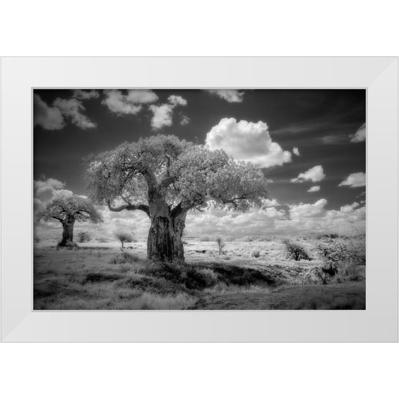 Sederquist, Betty 14x11 White Modern Wood Framed Museum Art Print Titled - Africa-Tanzania Ancient baobab trees-dot the landscape in this infrared view