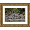 thumbnail image 1 of Sederquist, Betty 18x13 Gold Ornate Wood Framed with Double Matting Museum Art Print Titled - Africa-Tanzania Perhaps spooked by crocodiles-zebras stampede in the Serengeti, 1 of 4