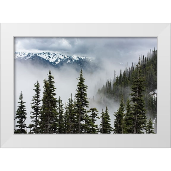 Sederquist, Betty 18x14 White Modern Wood Framed Museum Art Print Titled - USA-Washington State-Olympic National Park
