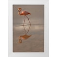 thumbnail image 1 of Sederquist, Betty 23x32 White Modern Wood Framed Museum Art Print Titled - Greater Flamingo-Ecuador, 1 of 4