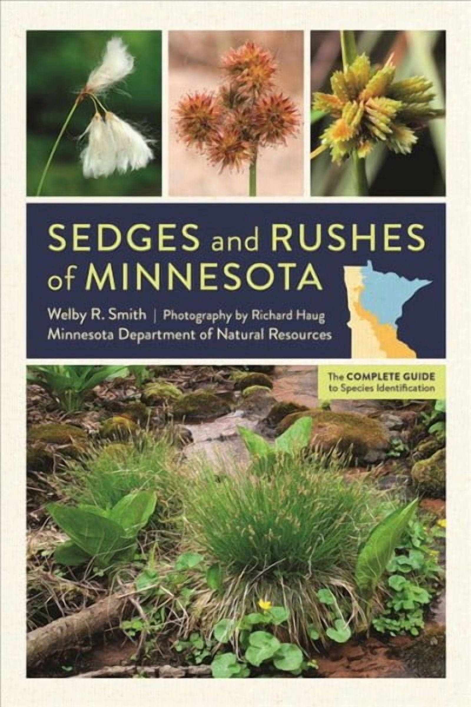 Sedges and Rushes of Minnesota : The Complete Guide to Species ...
