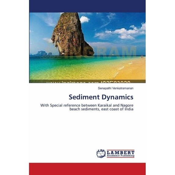 Sediment Dynamics (Paperback)