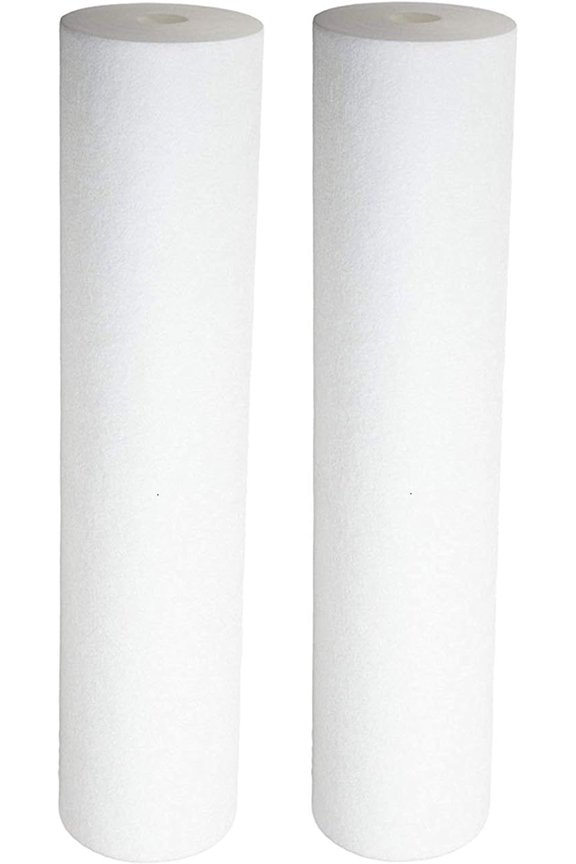 Sediment Filter - Dual Gradient Density 25/1 Micron 20" x 4.5" 2 Pack by CFS