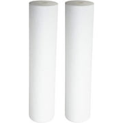 Sediment Filter - Dual Gradient Density 25/1 Micron 20 x 4.5 2 Pack by CFS