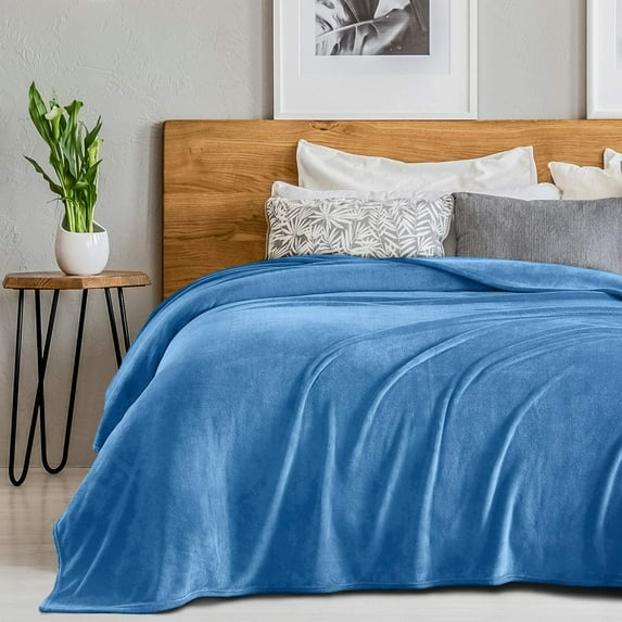 Sedona House Microfiber Soft Warm Lightweight Flannel Fleece Blanket 60x80 Twin Size Light Blue