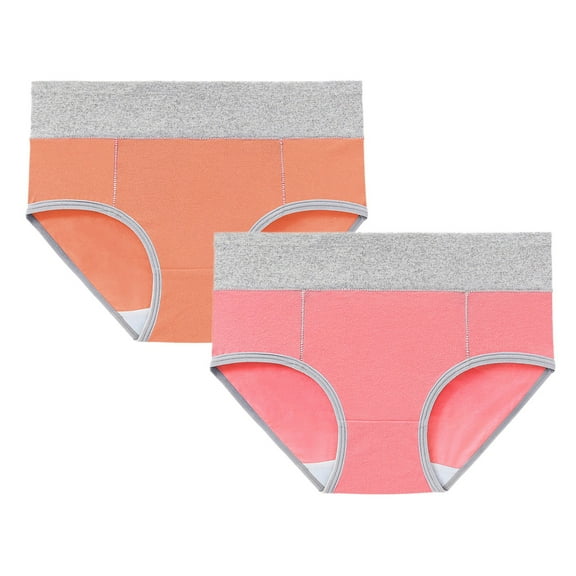 Seductiva Clothing High Waist Panties for Women Women's Cotton Underwear High Waist Briefs Soft Underpants Ladies Full Coverage 2 Pack
