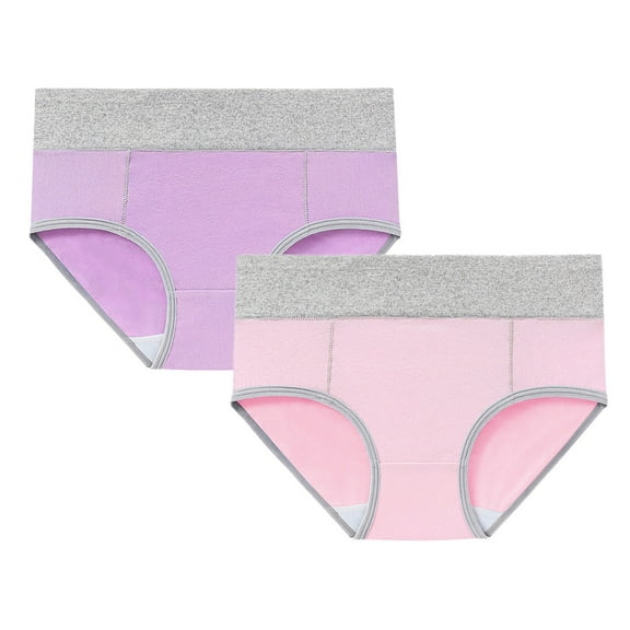 Seductiva Clearance Panties for Women Women's Cotton Underwear High Waist Briefs Soft Underpants Ladies Full Coverage 2 Pack
