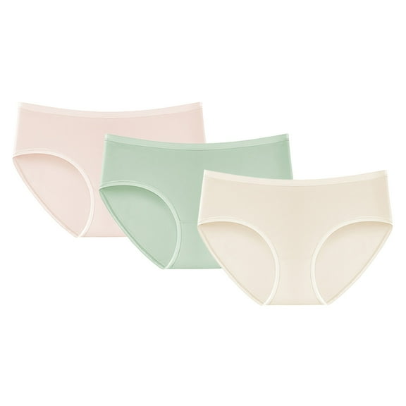 Seductiva Clothing Women Pantie Underwear for Women Seamless Bikini Regular Absorbency Underwear