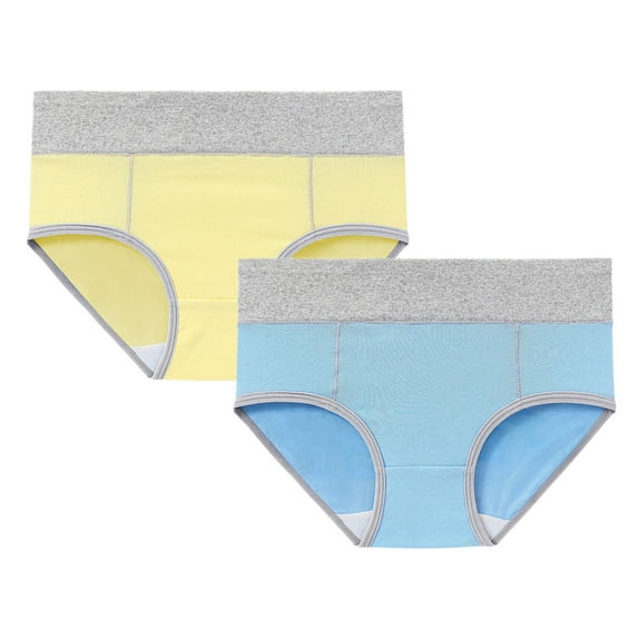 Seductiva Clothing Women Underwear Brief Women's Cotton Underwear High Waist Briefs Soft Underpants Ladies Full Coverage 2 Pack