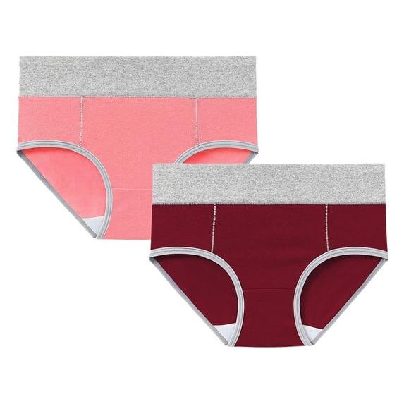 Seductiva Clothing Women Underwear Brief Women's Cotton Underwear High Waist Briefs Soft Underpants Ladies Full Coverage 2 Pack