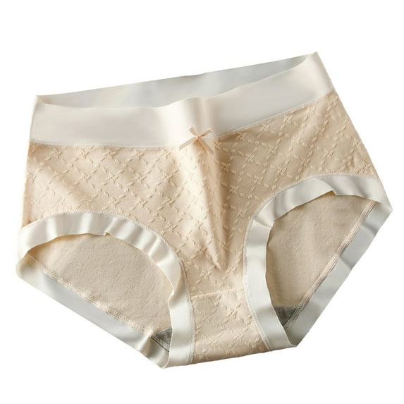 Seductiva Clothing Women's Panties Underwear for Women Seamless Bikini Regular Absorbency Underwear