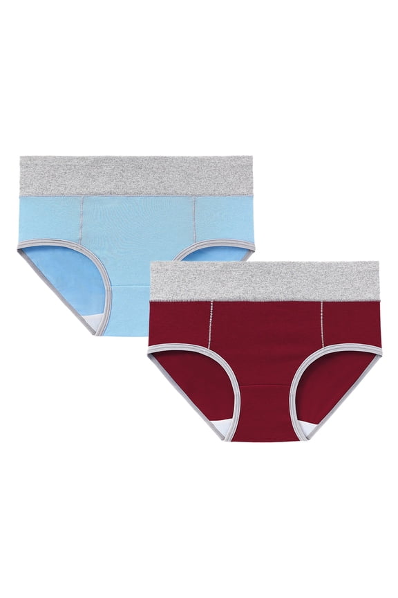 Seductiva Women Clothing Women's Cotton Brief Underwear Women's Cotton Underwear High Waist Briefs Soft Underpants Ladies Full Coverage 2 Pack High Waisted