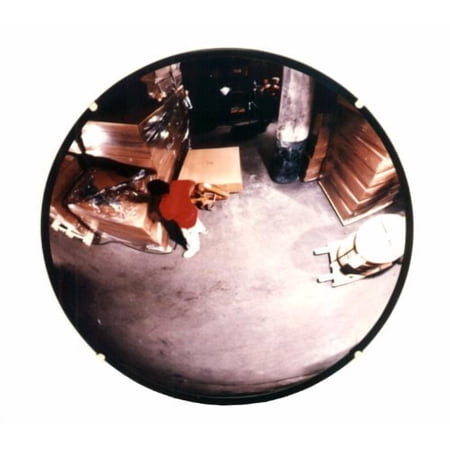 See All, SEEN12, Round Glass Convex Mirrors, 1 Each