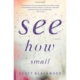 thumbnail image 1 of Pre-Owned See How Small: A Novel (Hardcover) 031637380X 9780316373807, 1 of 1