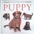 thumbnail image 1 of Pre-Owned Puppy: 2 (See How They Grow Series) (Hardcover) 0525673423 9780525673422, 1 of 1