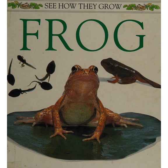 Pre-Owned The Frog (Hardcover) 0525673458 9780525673453