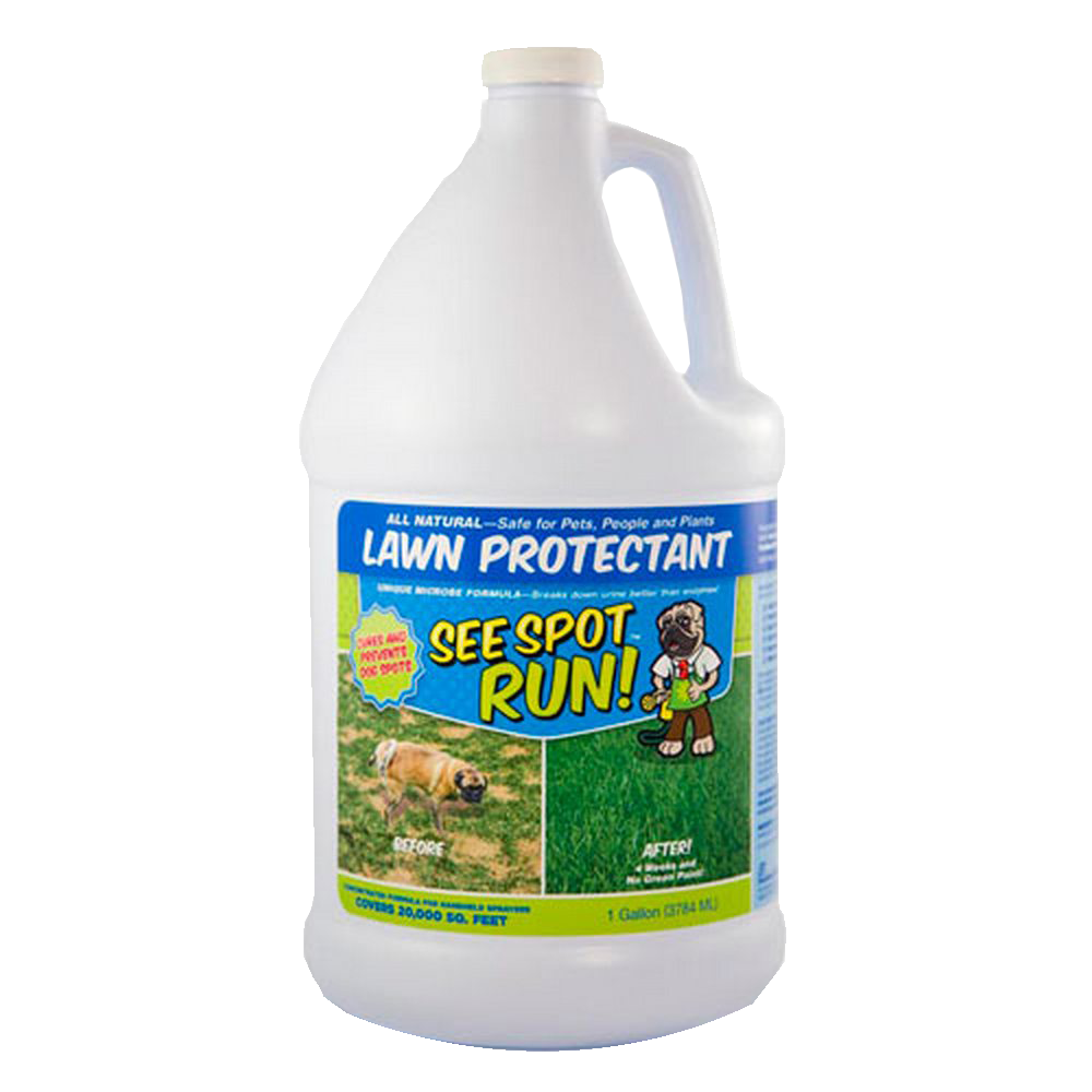 See Spot Run Lawn Protectant - Cures and Prevents Dog Urine Spots. Safe