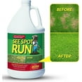 thumbnail image 1 of See Spot Run Eliminate Yellow Spots On Your Lawn Caused By Dog Urine | All-Natural, Safe for Pets and Humans | Made in the USA | Ready-to-Mix Gallon (128 oz), 1 of 8