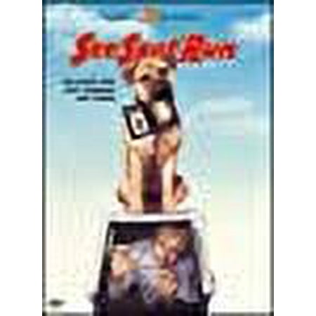 See Spot Run