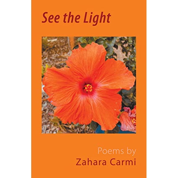 Pre-Owned See the Light Paperback
